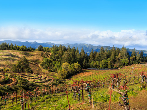 San Francisco sonoma sightseeing Excursion Reservations