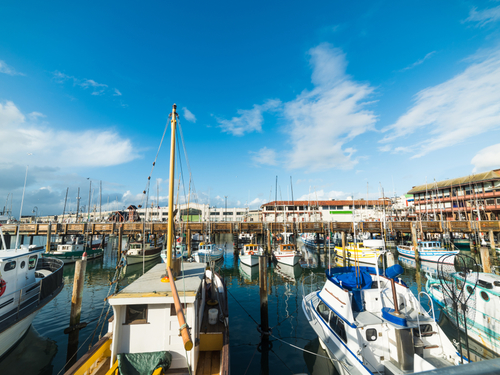 San Francisco Top Five Sail Trip Cost