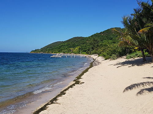 Roatan central park Tour Reviews