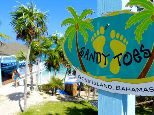 Nassau Bahamas Sandy Toes Beach Excursion Reviews