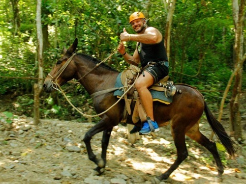 Puerto Vallarta mule ride Trip Reviews