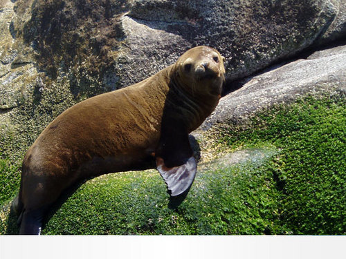 Cabo San Lucas breakfast buffet Trip