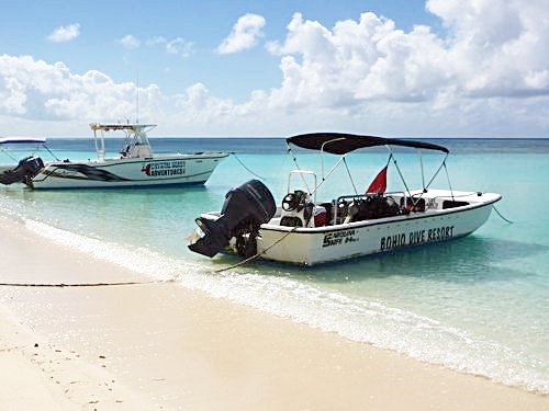 Grand Turk  Turks and Caicos grand turk wall Cruise Excursion Tickets