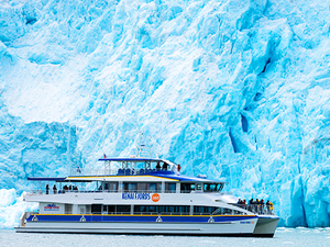 Seward Full Day Northwestern Kenai Fjords Cruise Excursion with Lunch