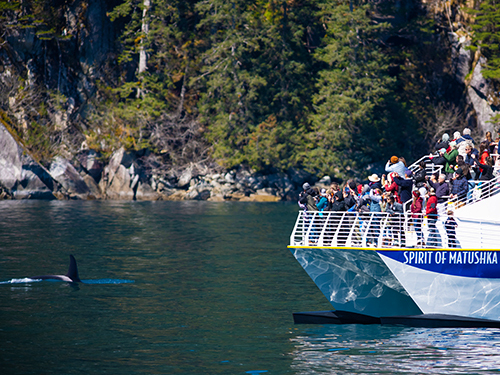 Seward Full Day Northwestern Kenai Fjords Cruise Excursion with Lunch