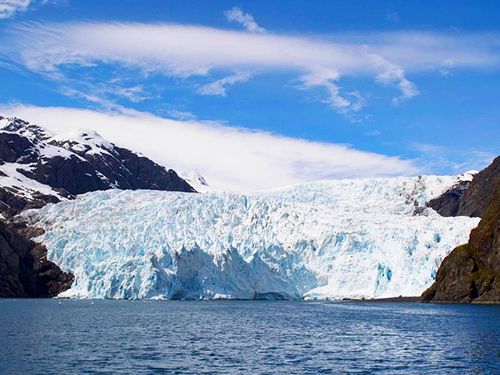 Seward Full Day Northwestern Kenai Fjords Cruise Excursion with Lunch