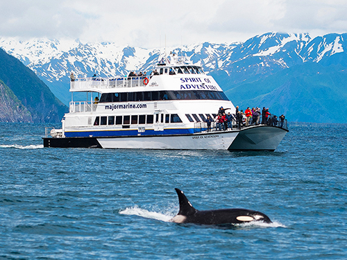 Seward Full Day Northwestern Kenai Fjords Cruise Excursion with Lunch