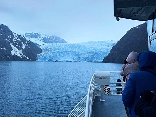 Seward Kenai Fjords 2 Glacier Viewing Cruise Excursion with Lunch