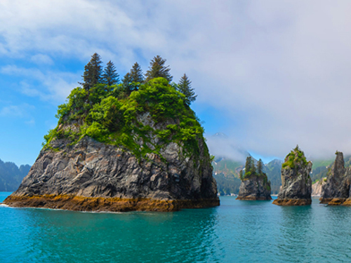 Seward Kenai Fjords 2 Glacier Viewing Cruise Excursion with Lunch