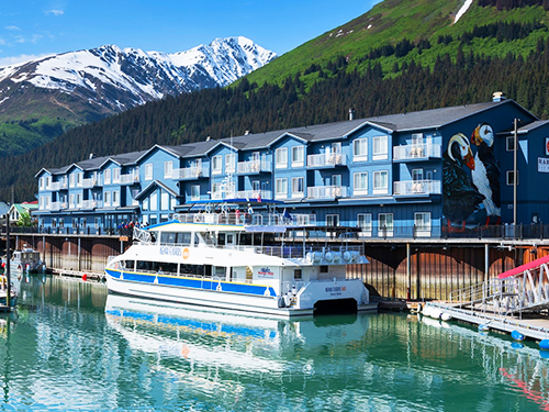 Seward Kenai Fjords Cruise Excursion with Lunch