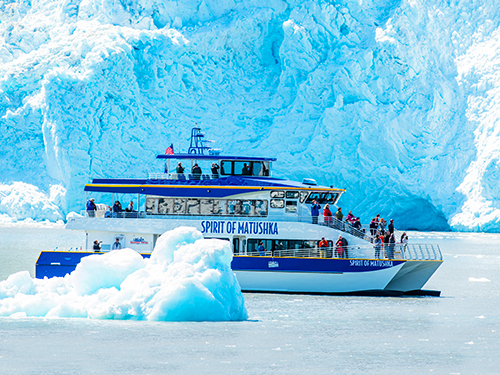 Seward Kenai Fjords Cruise Excursion with Lunch