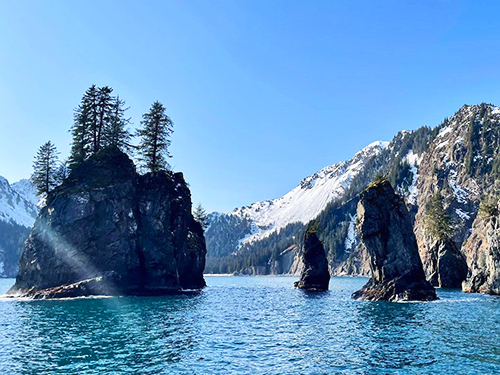 Seward Kenai Fjords Wildlife Cruise Excursion