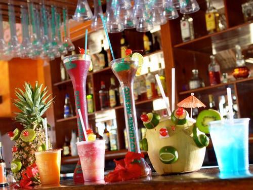 Cozumel Mexico open bar Excursion Booking Booking