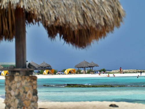 Aruba Oranjestad private driver Cruise Excursion Prices