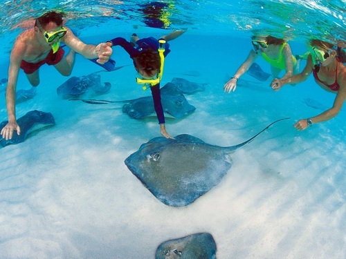 Grand Cayman  George Town snorkeling Tour