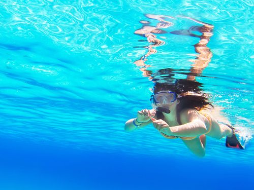 Belize shark ray alley Shore Excursion Reviews
