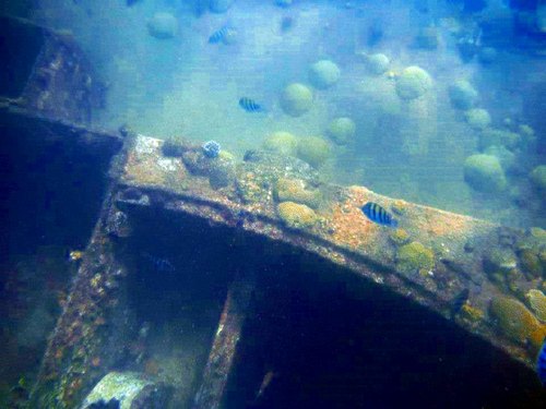 Barbados shipwreck snorkel Reservations