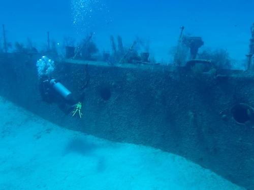 Grand Cayman George Town dive Excursion Reservations