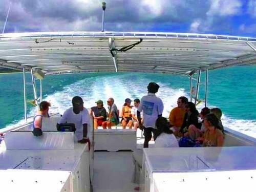 St. Johns eco boat Trip Prices