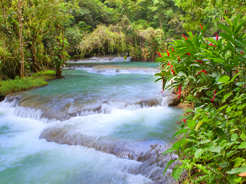 Ocho Rios Jamaica dunn's river falls climb Excursion Cost