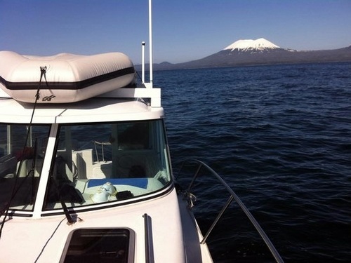 Sitka Sea lion Cruise Excursion Booking