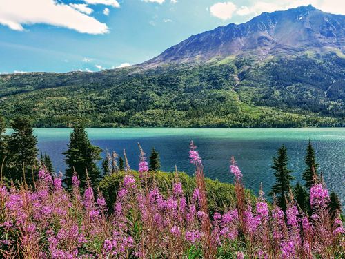Skagway Alaska White Pass Sightseeing Trip Prices