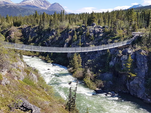Skagway Yukon Discovery Sightseeing Shore Excursion Booking