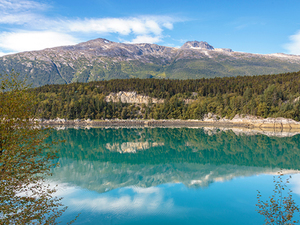 Skagway Dyea Nature and Wildlife Viewing Excursion