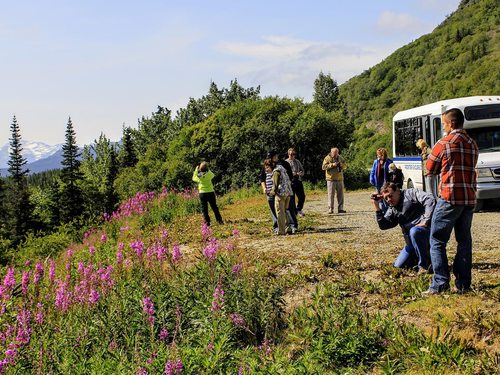 Skagway Alaska Wildlife Sightseeing Trip Tickets