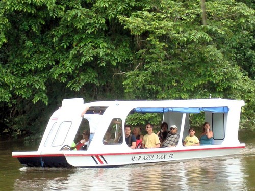 Puerto Limon Tortuguero Canal Tour Booking
