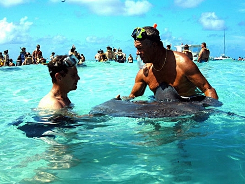 Grand Cayman   Snorkel Tickets Booking