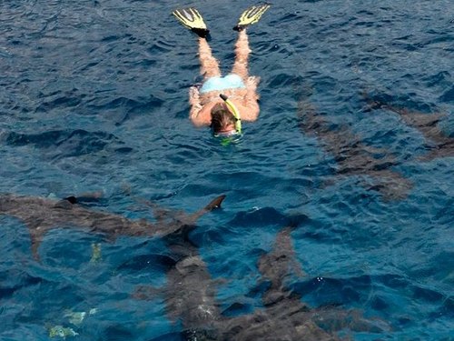 Nassau sunken air plain Prices