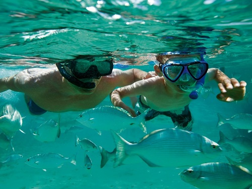 Curacao Willemstad guided snorkeling Excursion Booking