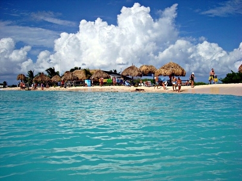 Curacao guided snorkeling Shore Excursion Reviews