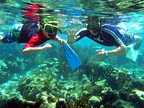 Grand Cayman  George Town coral reef snorkel Reviews