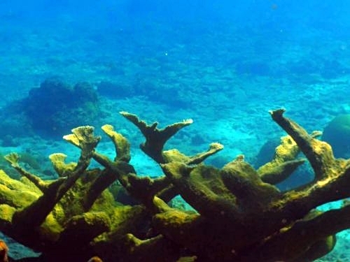 Grand Turk  Turks and Caicos bohio resort Trip Cost