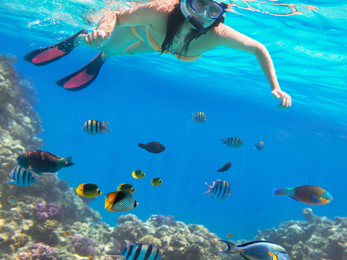 Roatan beach Trip Tickets