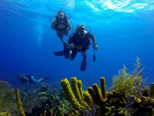 Grand Cayman scuba Tour Reservations