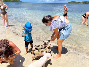 St. John's Antigua Swimming with Piglets Excursion 