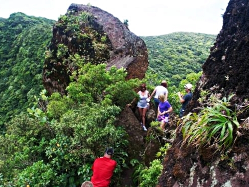 St. Kitts Basseterre Hiking Cruise Excursion Reviews