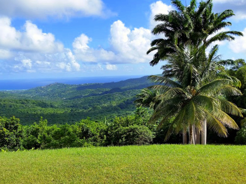 St. Lucia (Castries) pigeon view Tour Cost