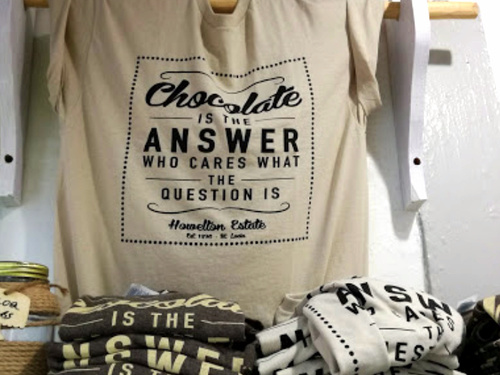 St. Lucia (Castries)  West Indies The Morne Sightseeing Cruise Excursion Tickets