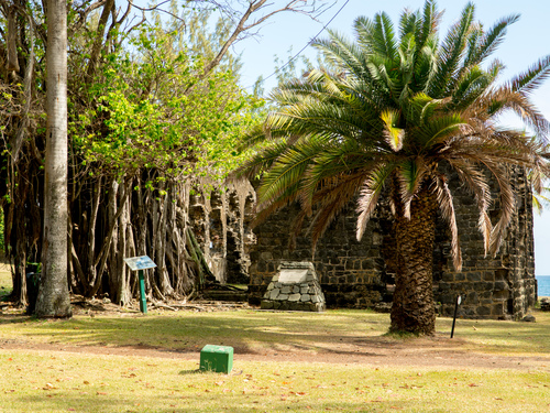 St. Lucia (Castries)  West Indies The Morne Sightseeing Cruise Excursion Reservations