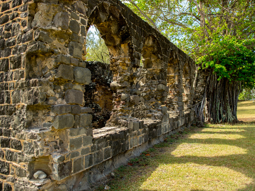 St. Lucia (Castries) The Morne Sightseeing Excursion Reviews