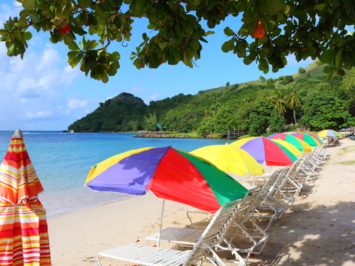 St. Lucia (Castries) Howelton Estate Sightseeing Excursion Tickets