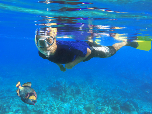 St. Lucia (Castries) Pigeon Island Snorkeling Tour Booking