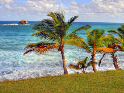 St. Lucia (Castries) Pigeon Island National Park Snorkeling Trip Cost