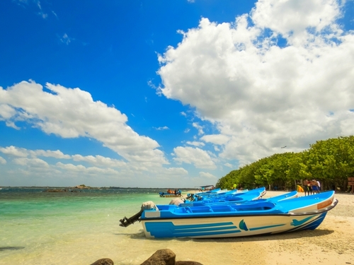 St. Lucia (Castries) Pigeon Beach Snorkeling Shore Excursion Prices
