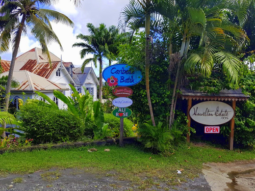 St. Lucia (Castries)  West Indies stony hill Trip Reviews