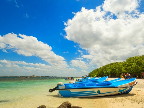 St. Lucia (Castries) The Morne Sightseeing Excursion Reservations